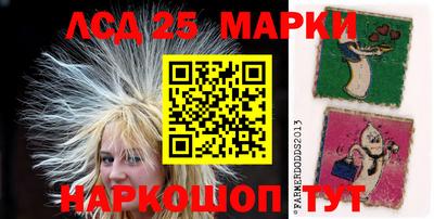 ГАЛЛЮЦИНОГЕННЫЕ ГРИБЫ Кандалакша