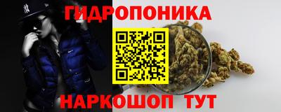 jwh Канаш