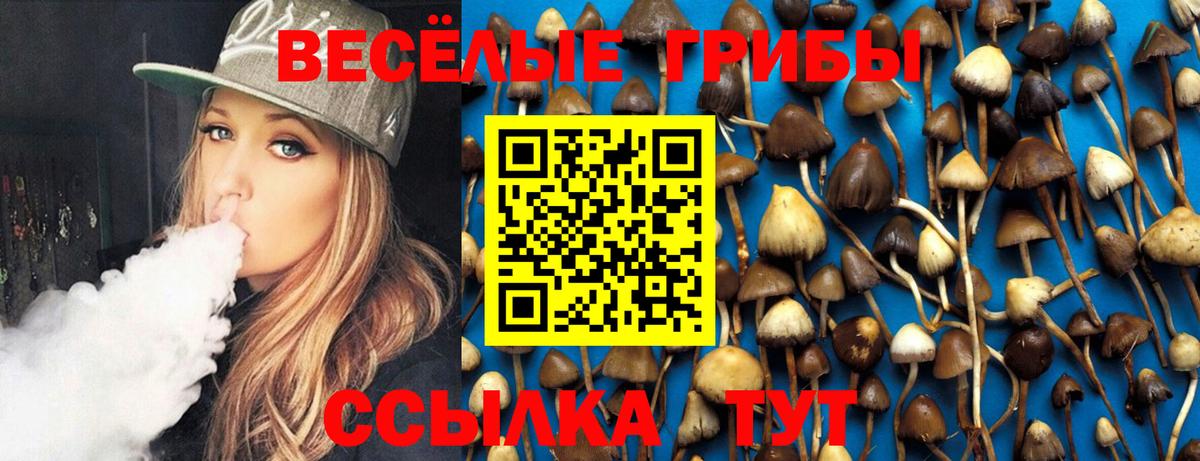 Галлюциногенные грибы ЛСД  Вход с VPN  Лыткарино  Псилоцибиновые грибы Psilocybe 
